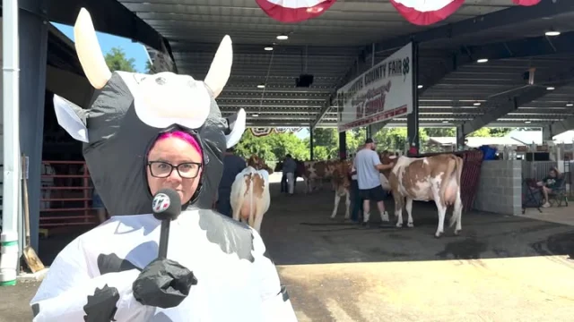 Who had the best "MOOOOO" at the Fayette County Fair? You be the judge and comment below!

#moo #discoverfayette #fayettecountypa