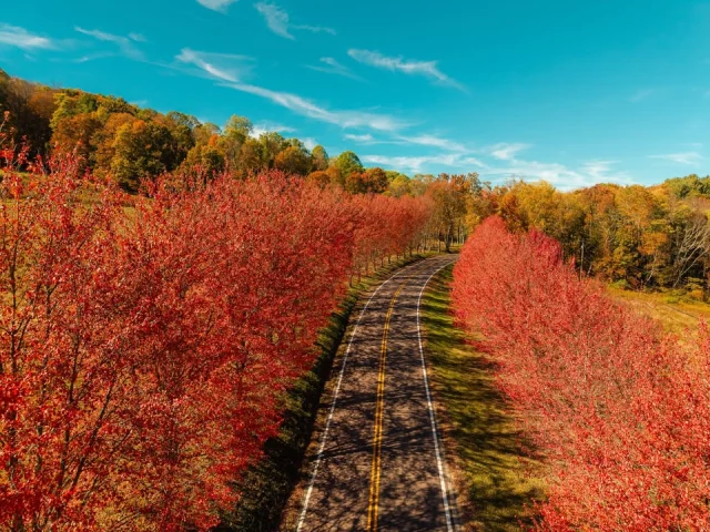 🍂 Fayette County is home to some of the most beautiful fall scenery in the Laurel Highlands, and now our region has been nominated for USA TODAY 10BEST’s Best Destination for Fall Colors!

Help put the Laurel Highlands on the map by voting once a day through Monday, September 7 at 11:59 a.m. EDT. Let’s show everyone why fall is so special here! Be sure to vote using the link in the GO Laurel Highlands post. 🍁