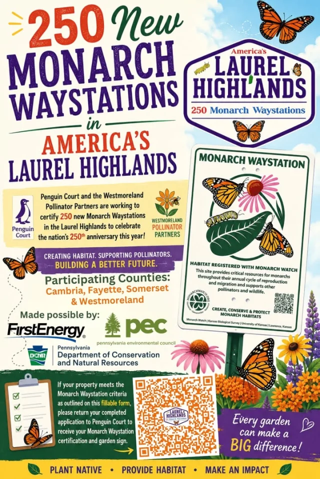 🦋 Discover Fayette PA ’s beauty right in your own backyard!

Fayette County, PA residents, businesses, schools and community groups can help the Laurel Highlands reach its goal of 250 new certified Monarch Waystations in celebration of America250 anniversary.

By providing milkweed and nectar plants, your garden can help monarch butterflies grow, feed and continue their migration. Already have a pollinator garden? Your property may qualify!

Let’s get more Fayette County gardens involved and help protect the butterflies that make our outdoor spaces even more special. 🌼

Get outside, get planting and Discover Fayette!

Learn more about the requirements and how to participate: https://tinyurl.com/5xezxt27